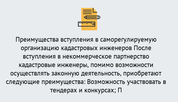 Почему нужно обратиться к нам? Новозыбков Что дает допуск СРО кадастровых инженеров?