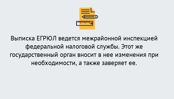 Почему нужно обратиться к нам? Новозыбков Выписка ЕГРЮЛ в Новозыбков ?