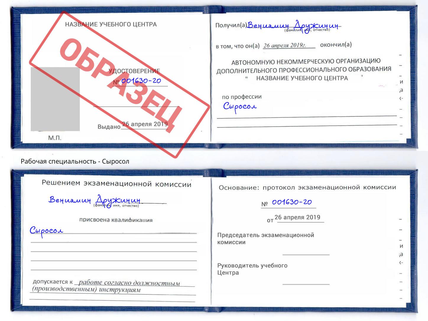 Сыросол Новозыбков