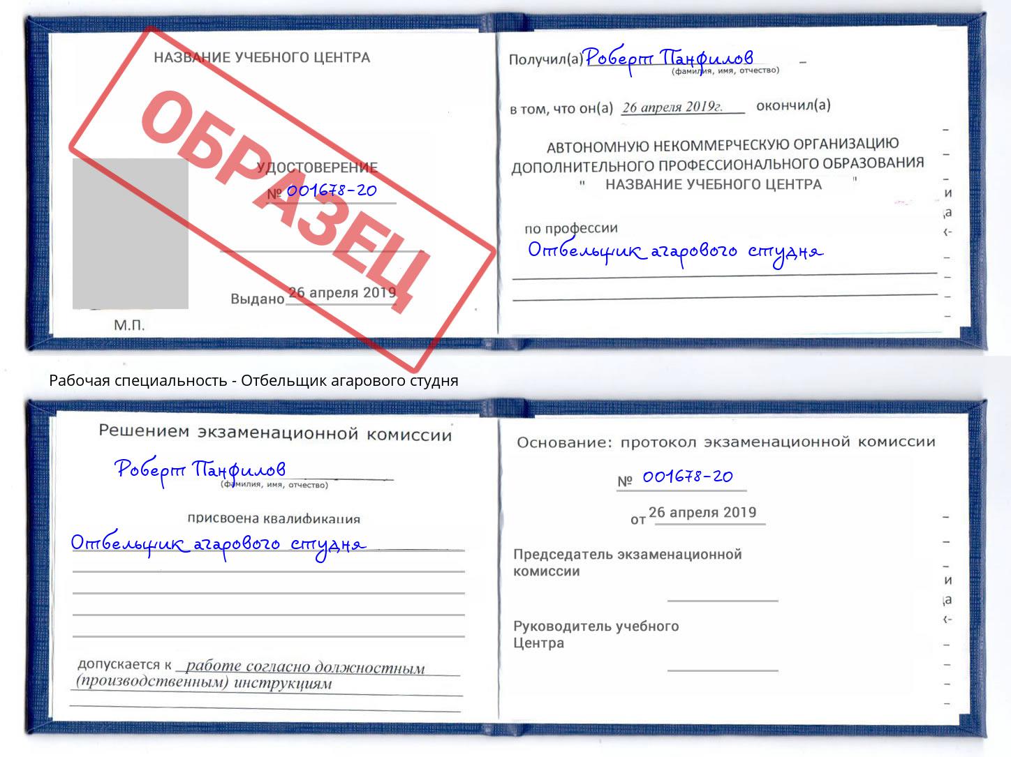 Отбельщик агарового студня Новозыбков