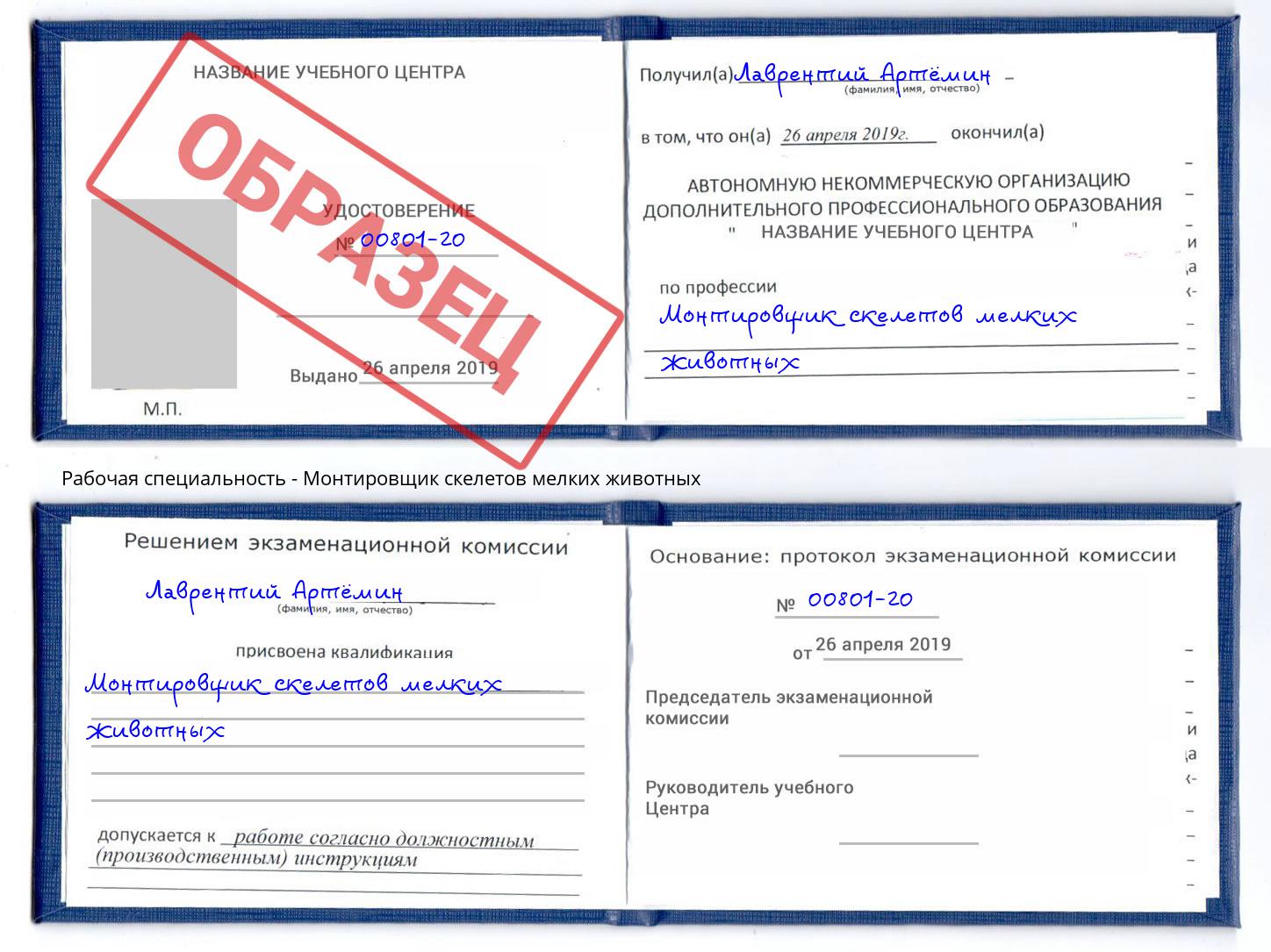 Монтировщик скелетов мелких животных Новозыбков
