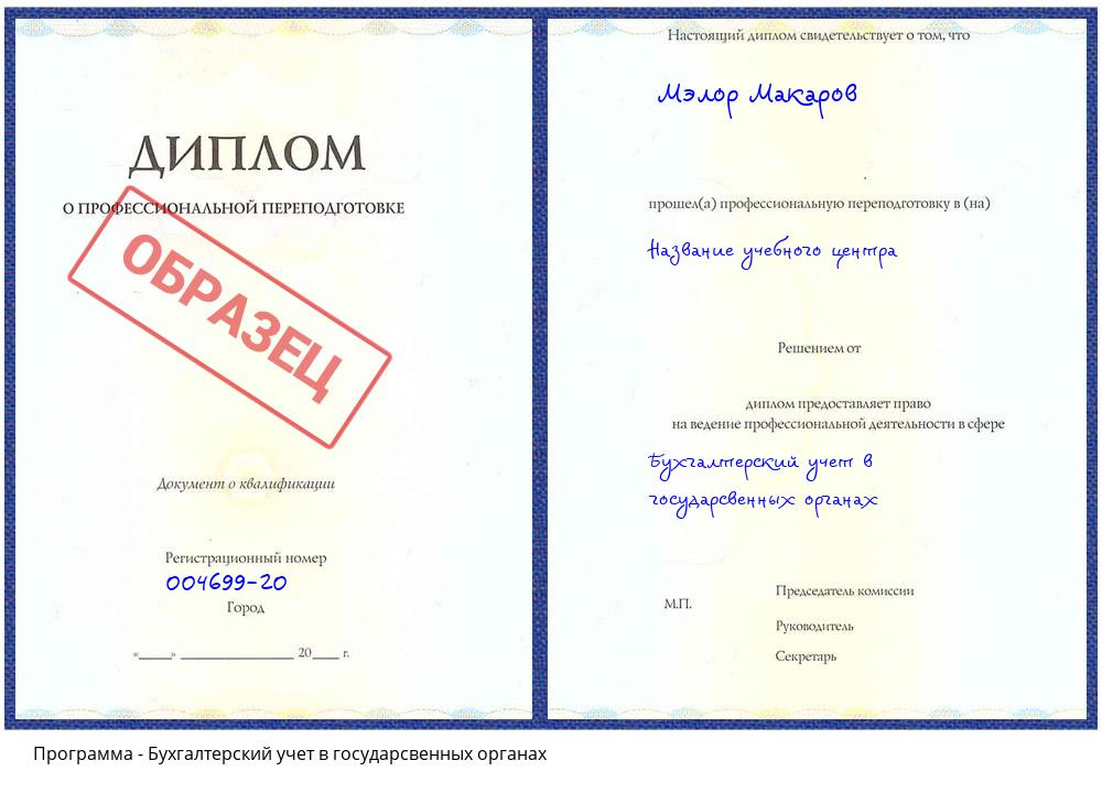 Бухгалтерский учет в государсвенных органах Новозыбков