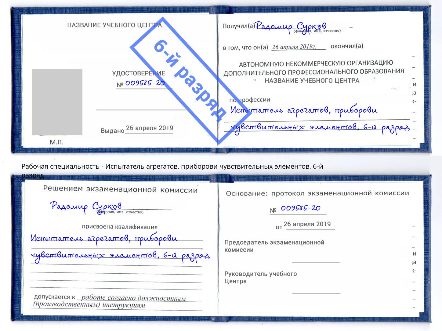 корочка 6-й разряд Испытатель агрегатов, приборови чувствительных элементов Новозыбков