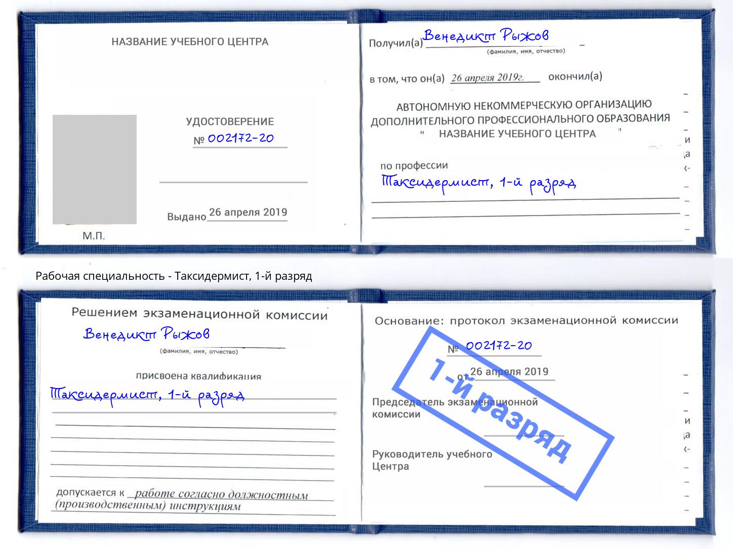 корочка 1-й разряд Таксидермист Новозыбков