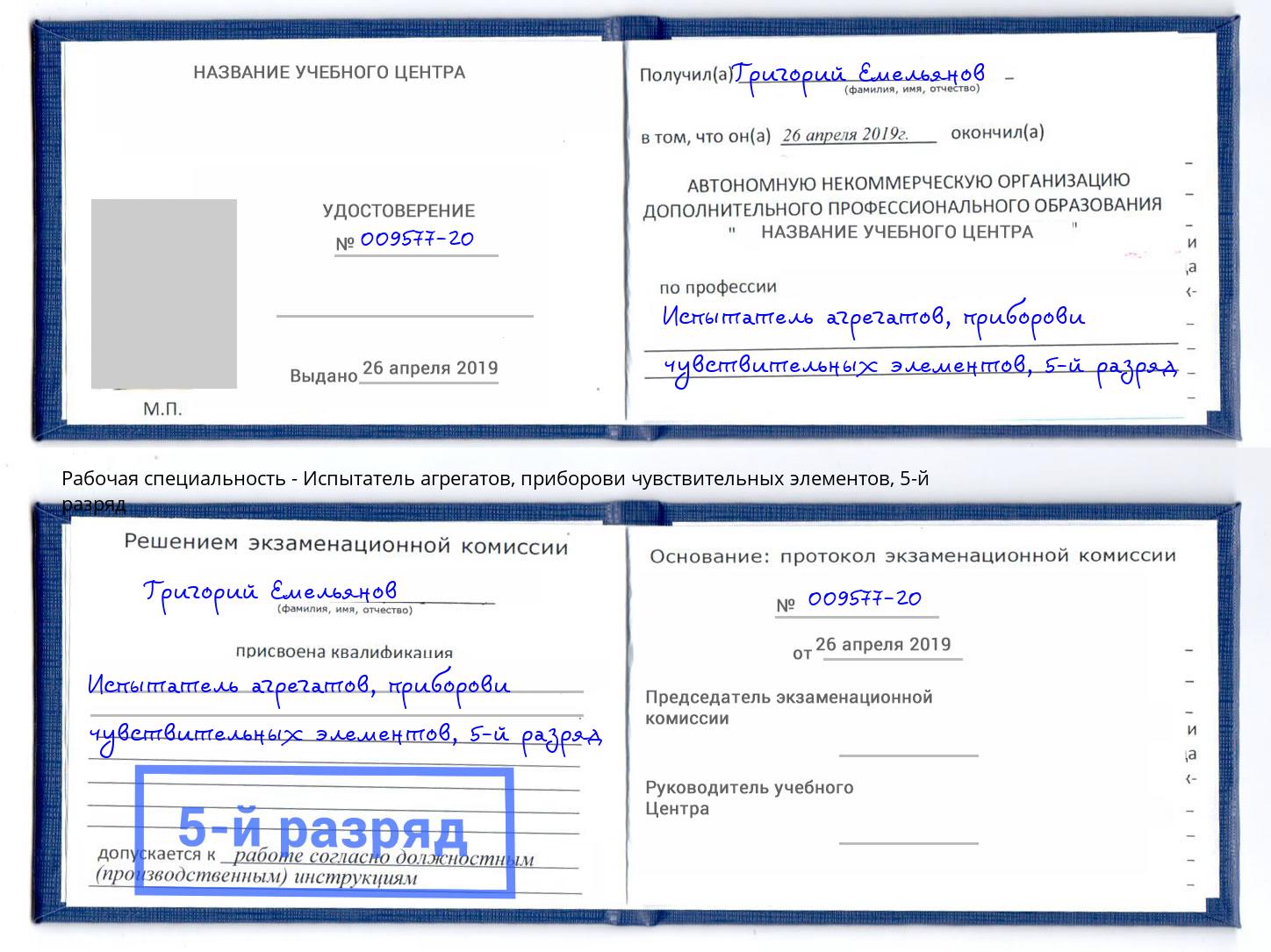 корочка 5-й разряд Испытатель агрегатов, приборови чувствительных элементов Новозыбков