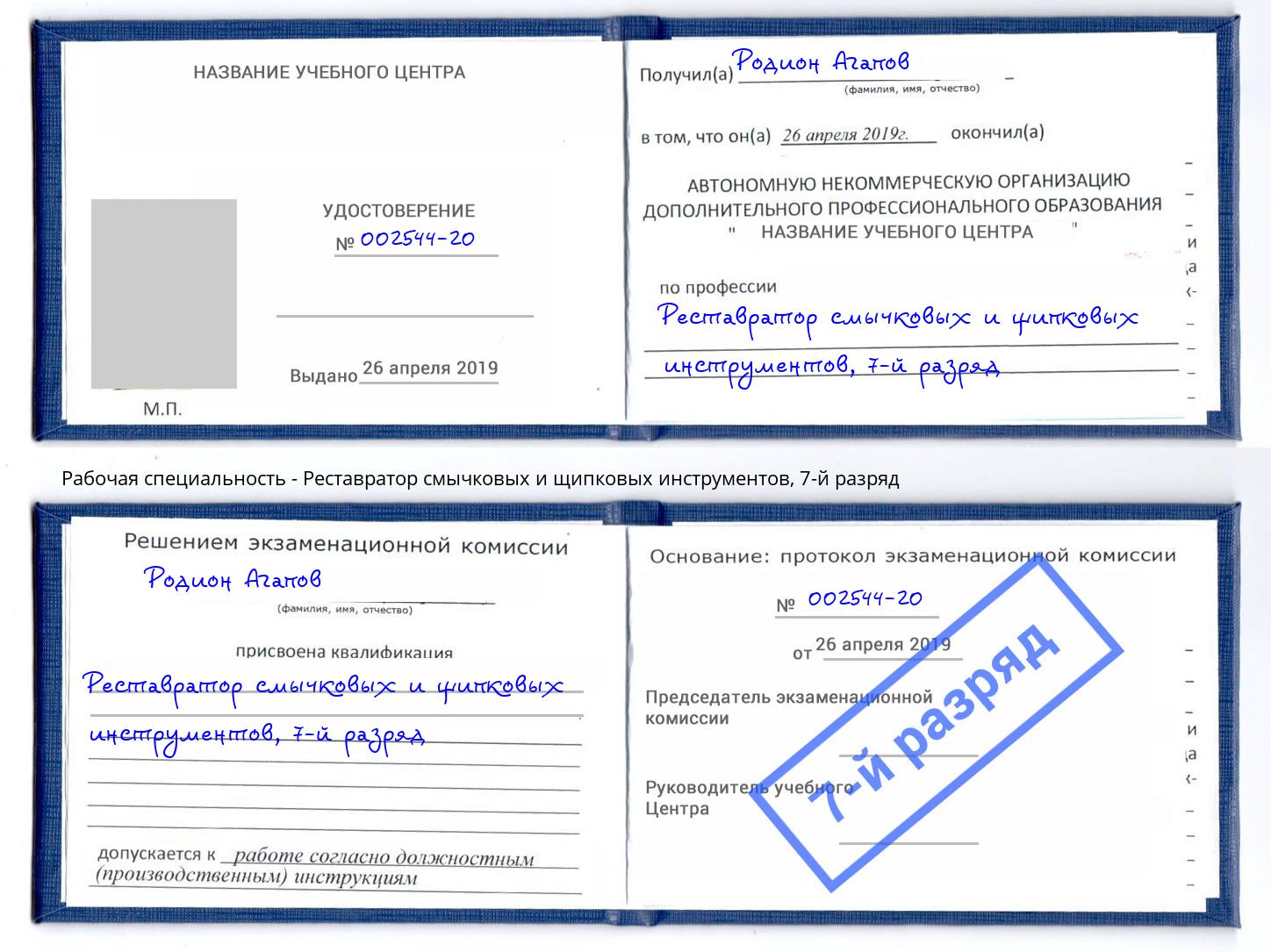 корочка 7-й разряд Реставратор смычковых и щипковых инструментов Новозыбков