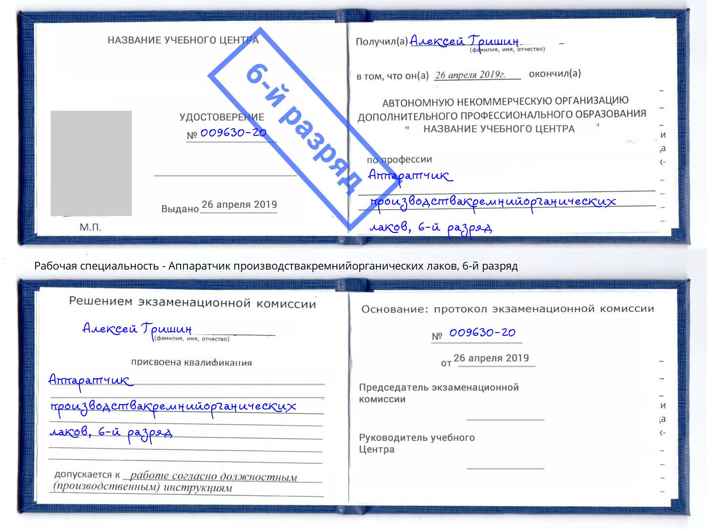 корочка 6-й разряд Аппаратчик производствакремнийорганических лаков Новозыбков