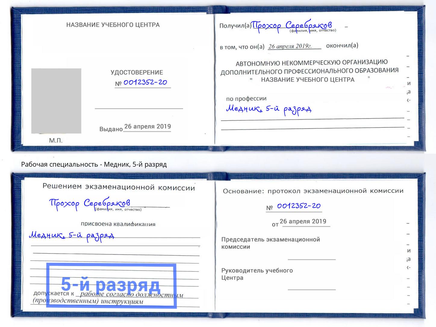 корочка 5-й разряд Медник Новозыбков