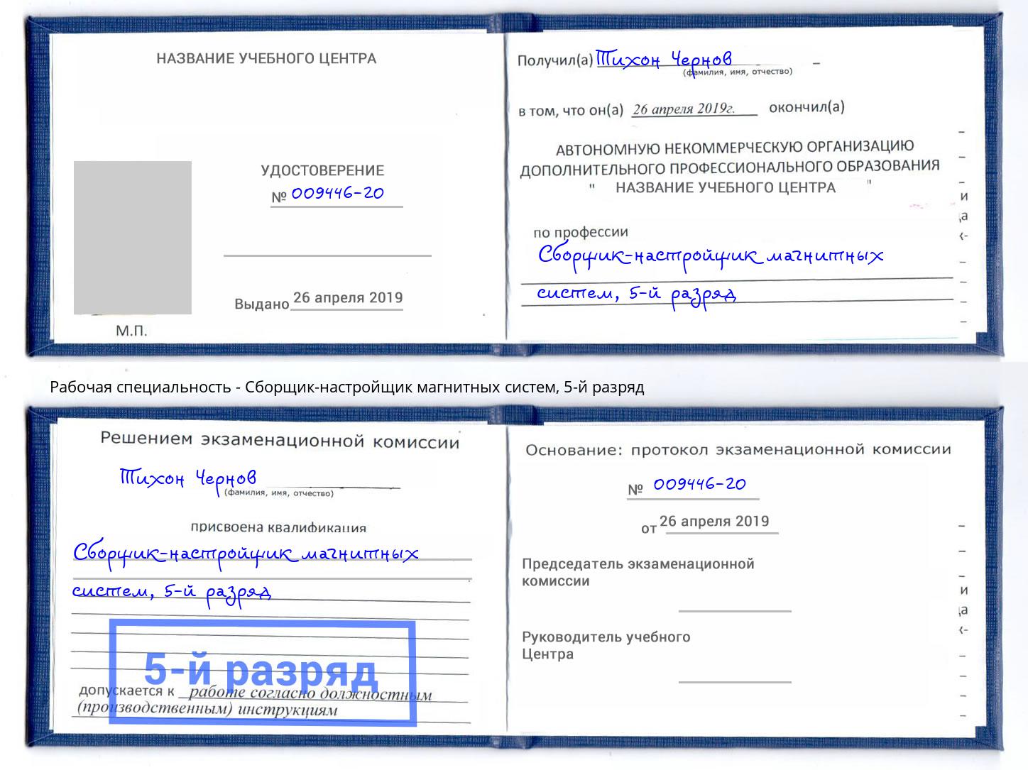 корочка 5-й разряд Сборщик-настройщик магнитных систем Новозыбков