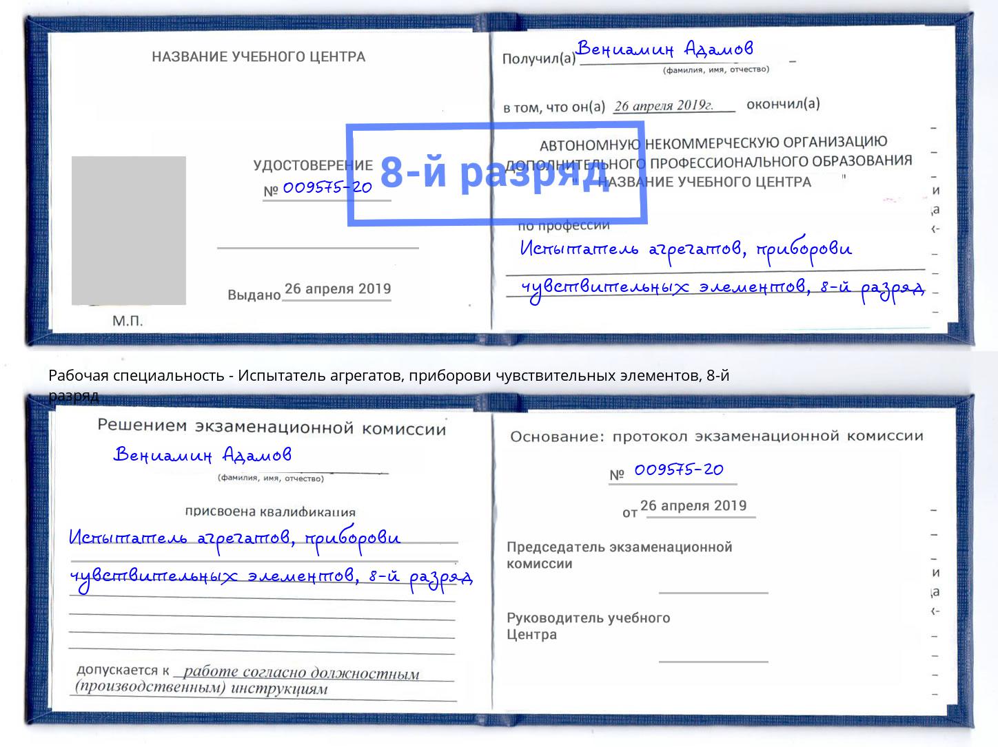 корочка 8-й разряд Испытатель агрегатов, приборови чувствительных элементов Новозыбков
